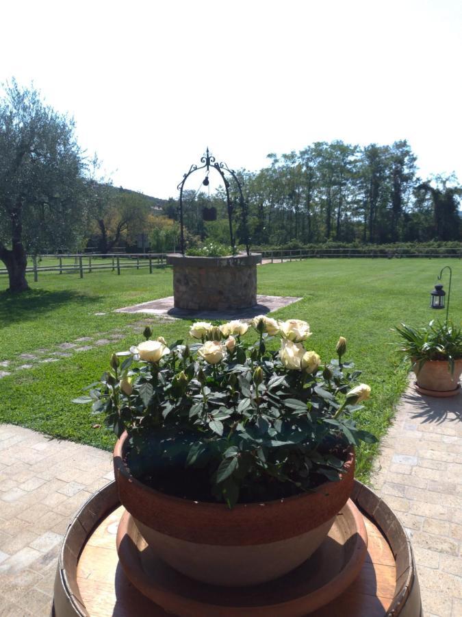 Alloggio Franciscus Arquà Petrarca Extérieur photo