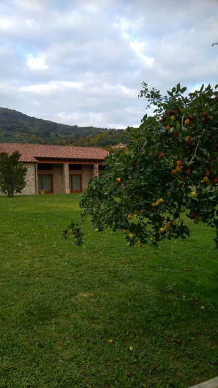 Alloggio Franciscus Arquà Petrarca Extérieur photo